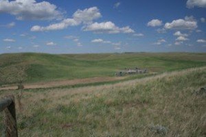 Image of a field