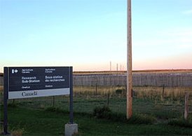 Image of Onefour Research Farm