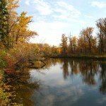 Bird Sanctuary Calgary