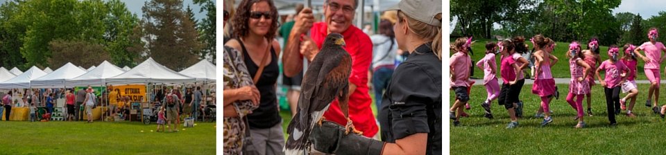 photos of Bird Day 2015