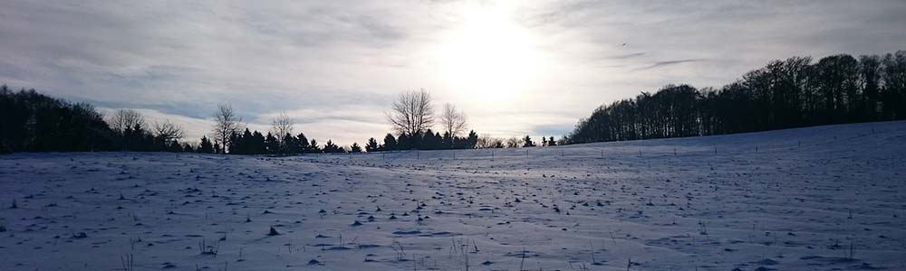 Image of a field in winter