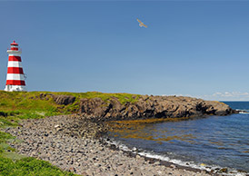 Image of the Brier Island Lighthouse