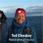 Ted Cheskey, click for contact information