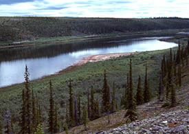Image of Thelon River