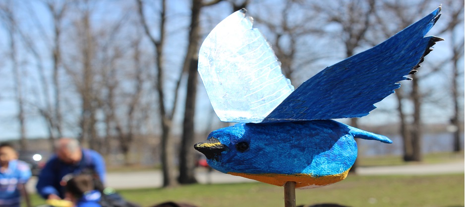 image of bluebird craft