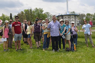 Image of Purple Martin members