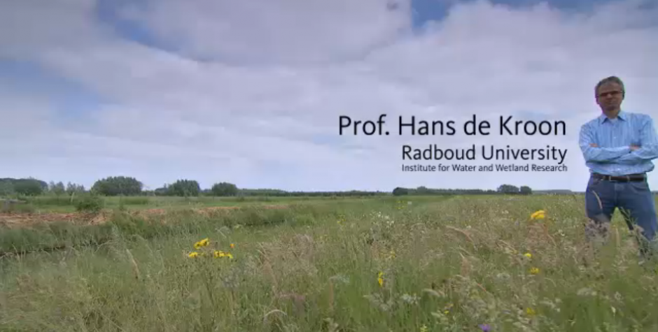 Image of Professor Hans de Kroon in a field