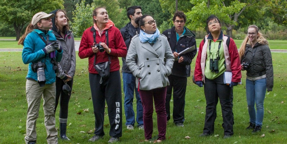 Participants in the birding walk got up with the sun to catch a glimpse of migrating birds at their most active time of the day. Many birds are never seen through the foliage, so expert birders rely on unique calls and even flight patterns to identify secretive birds. 
