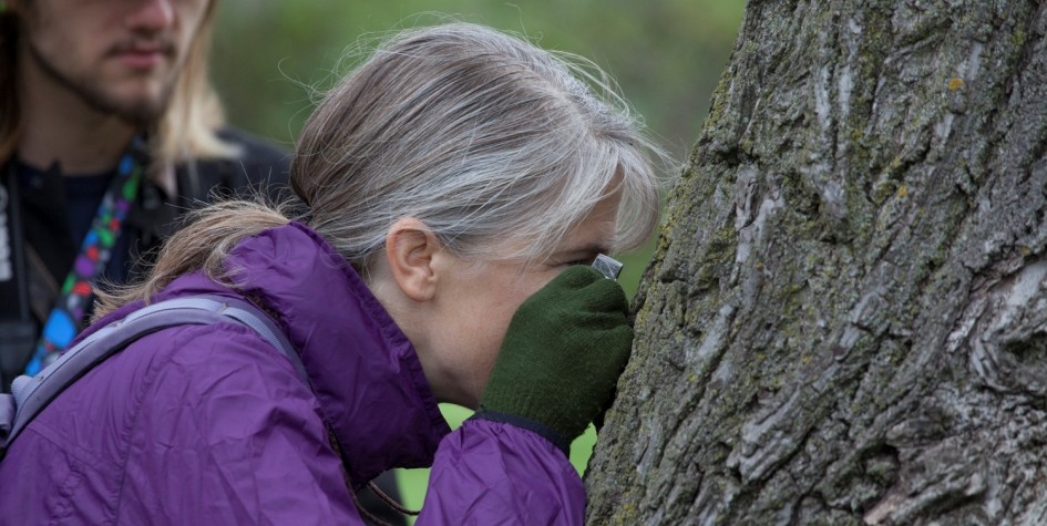 photo of expert examining tree bark 