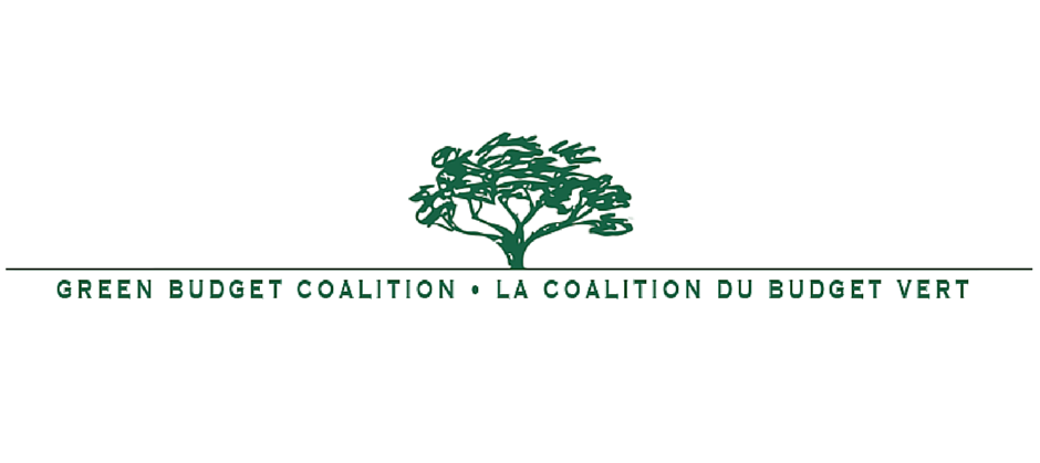 Green Budget Coalition banner