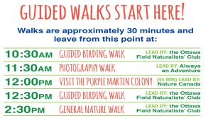 Guided Walks poster ENG