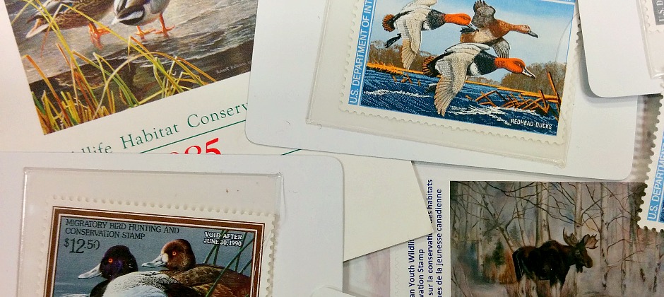 Picture of Nature Stamps