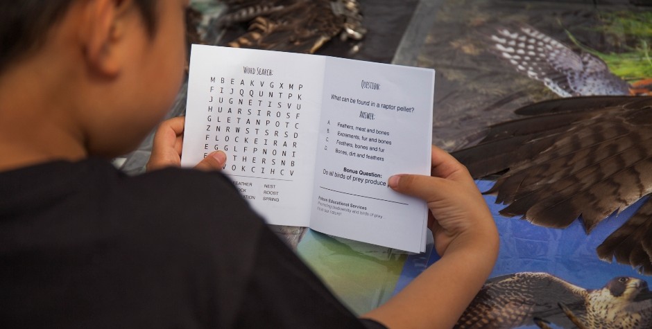 photo of a child completing the activity passport at the Bird Day Fair 2015