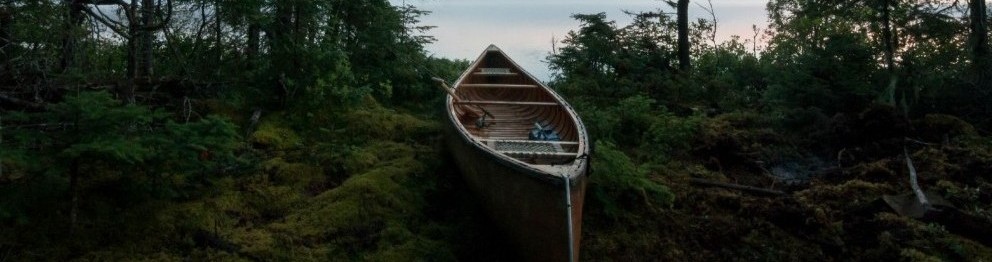 Canoe by Brendan Forward
