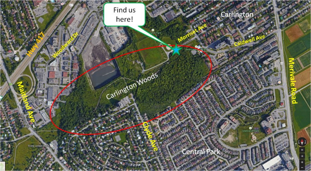 Map of Carlington Woods area, Ottawa, Ontario