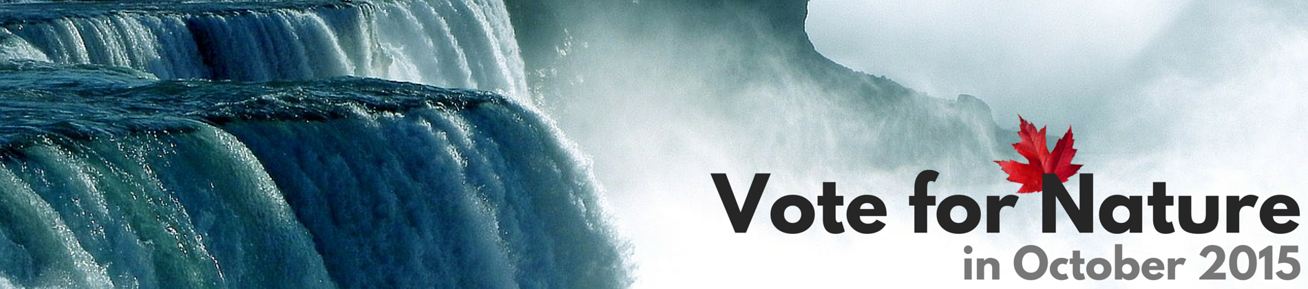 Waterfall Vote for Nature Banner