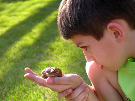 A child exploring nature