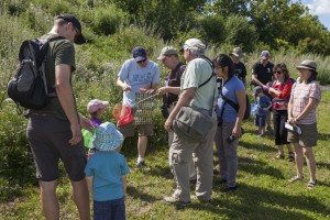 Group participating in a nature walk during the July 2015 NatureBlitz at Carlington Woods