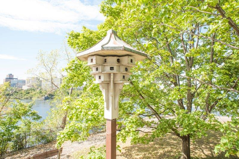 An interesting Purple Martin house located in a private public park tucked away behind the Supreme Court of Canada in Ottawa.