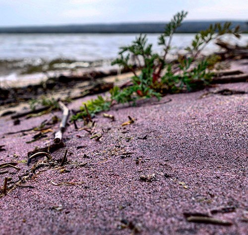 Image of Purple Sand Beach at Prince Albert National Park.