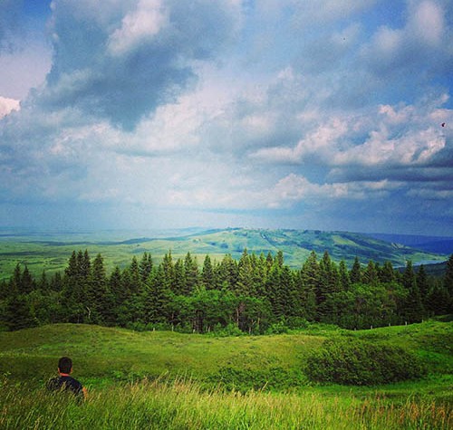 Image of the view from Cypress Hills