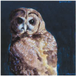 Spotted Owl painting