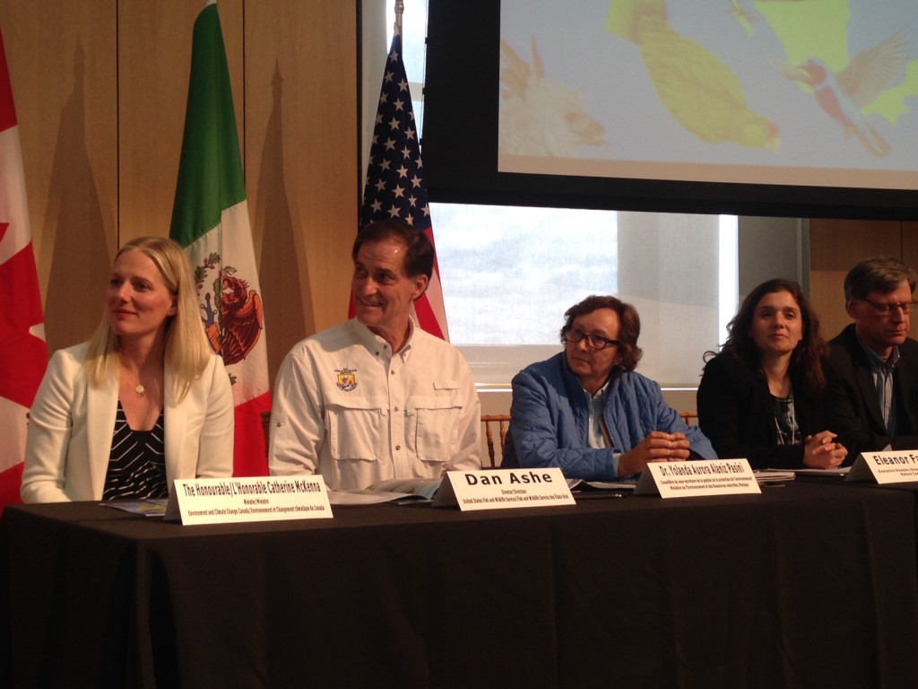 Image of panel at the The State of North America's Birds 2016 Report launch
