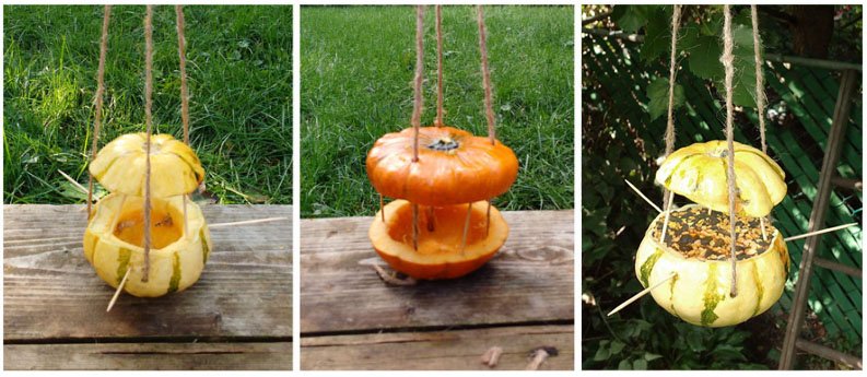 Image of a DIY Gourd Bird Feeder