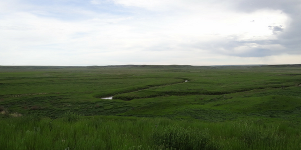Image of grasslands