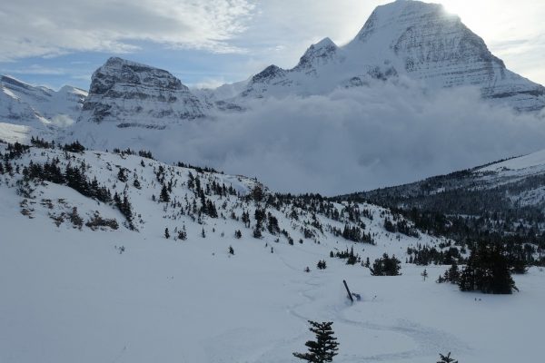 Image of Mt. Robson
