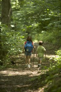 children-forest-hike