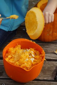 pumpkin fibers and seeds