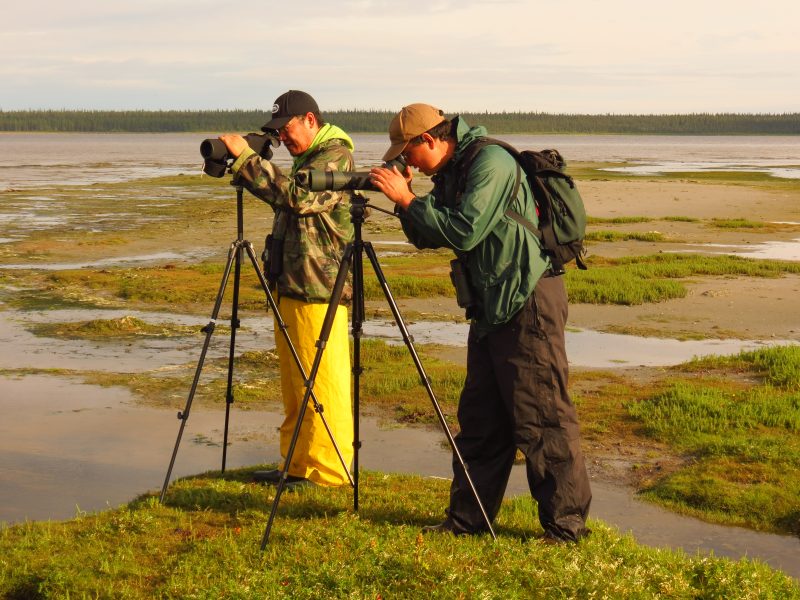 Image of bird watchers on Charlton Island