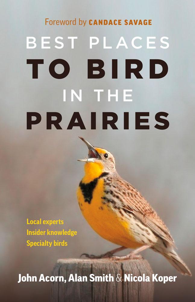Best Places to Bird in the Prairies Nature Canada