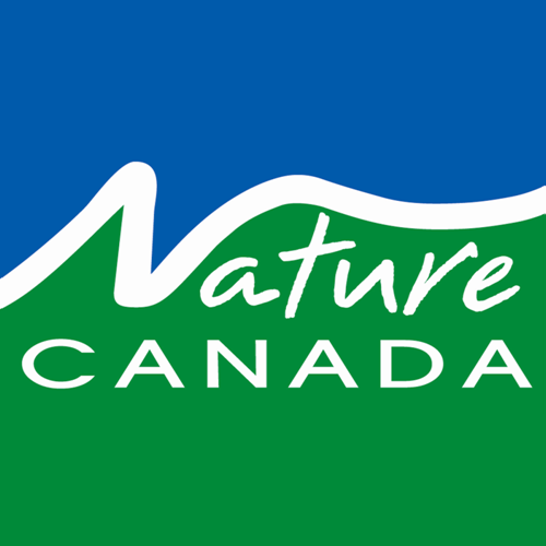 Nature Canada win white font on blue and green background.  The N in nature creates a wave across the logo separating the two background colours - blue on top, green on bottom