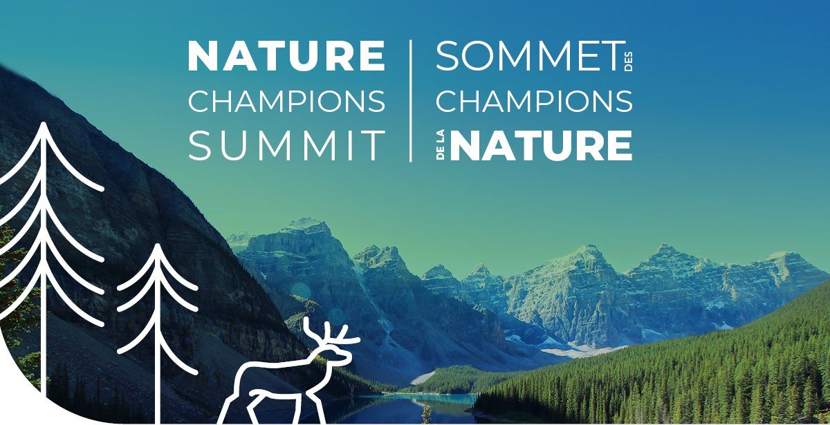 Bob Peart: Putting nature first at the Nature Champions Summit - Nature ...