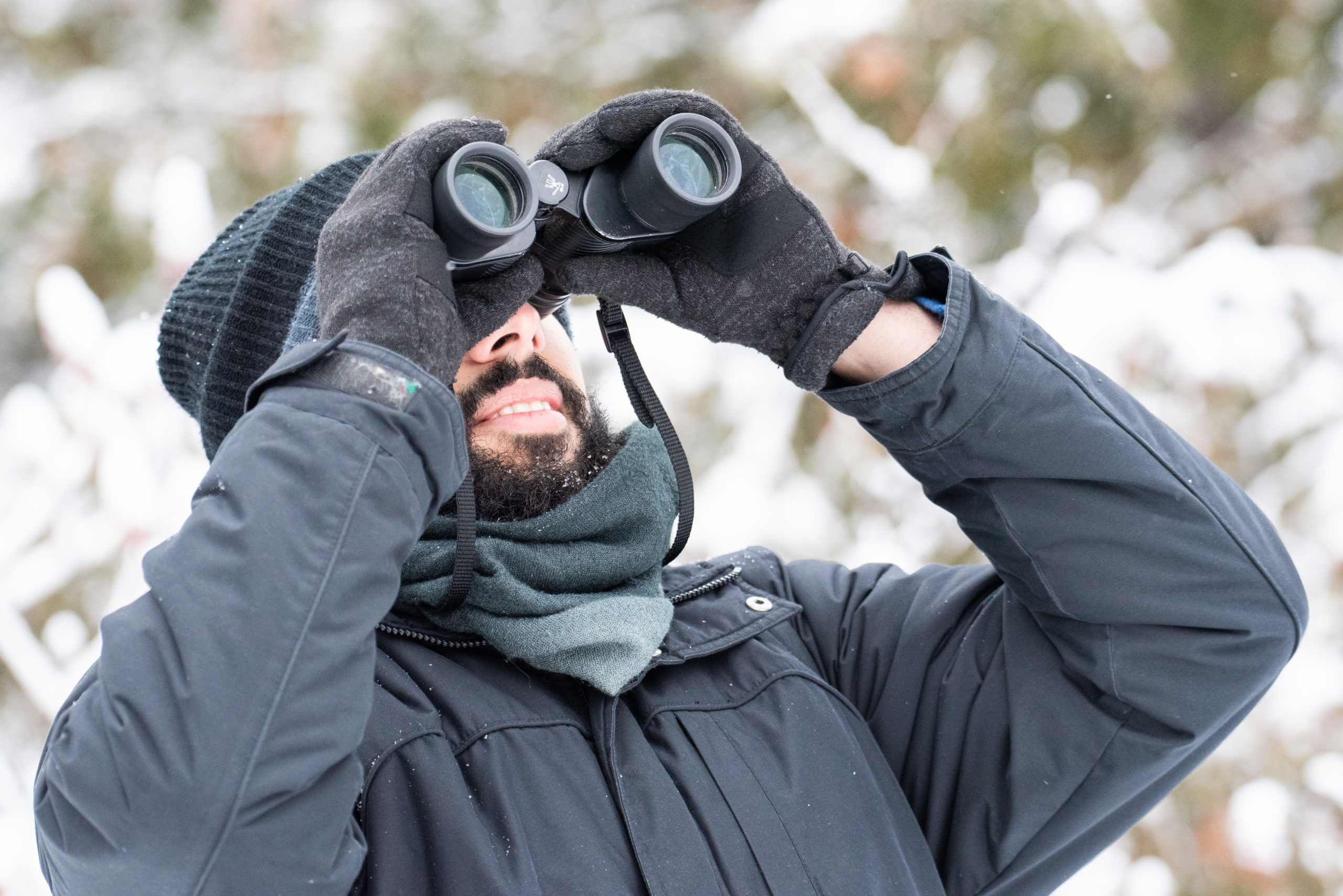 2019 Christmas Bird Count Photos - Nature Canada