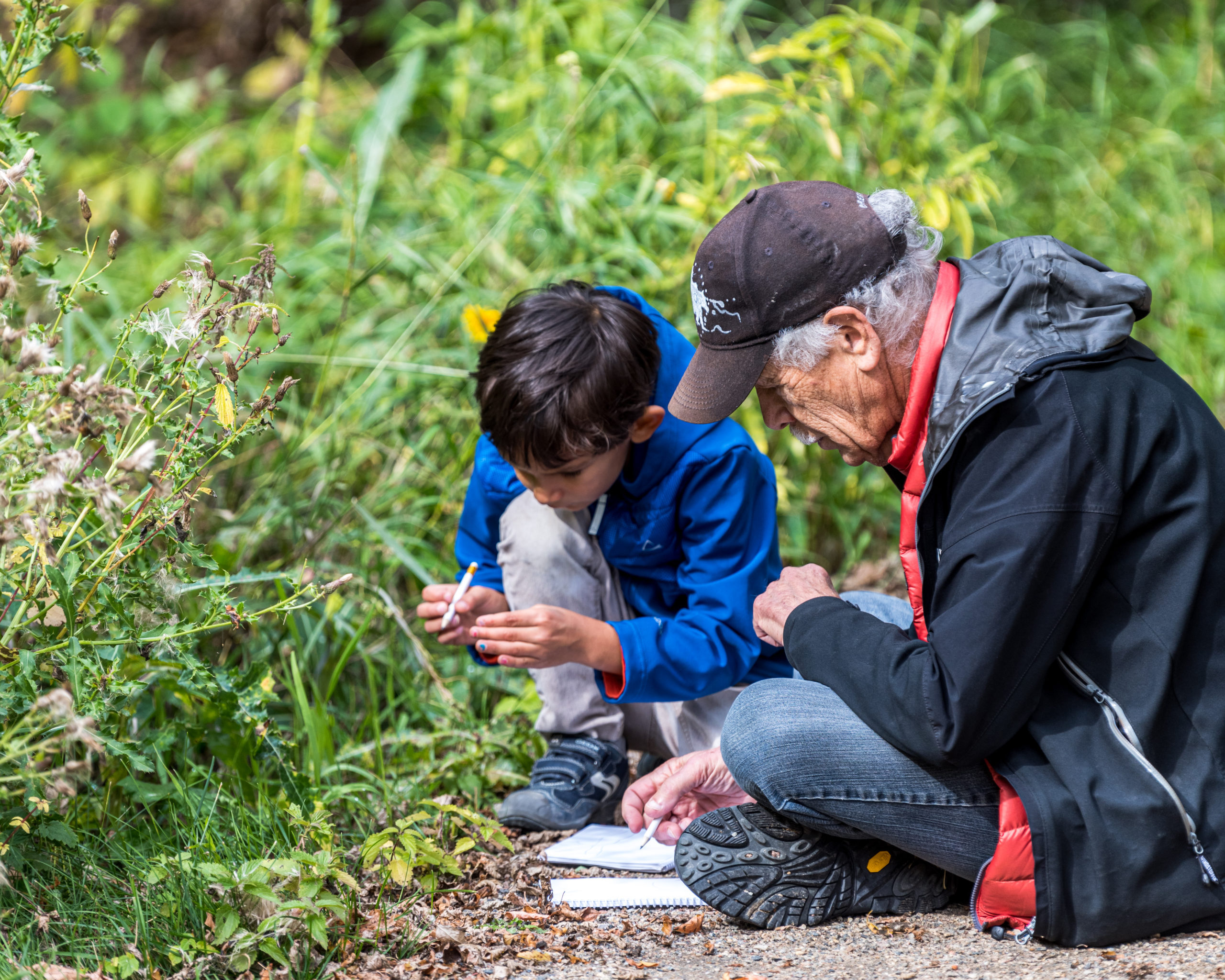 Image of a boy and an elderly man sketching nature together