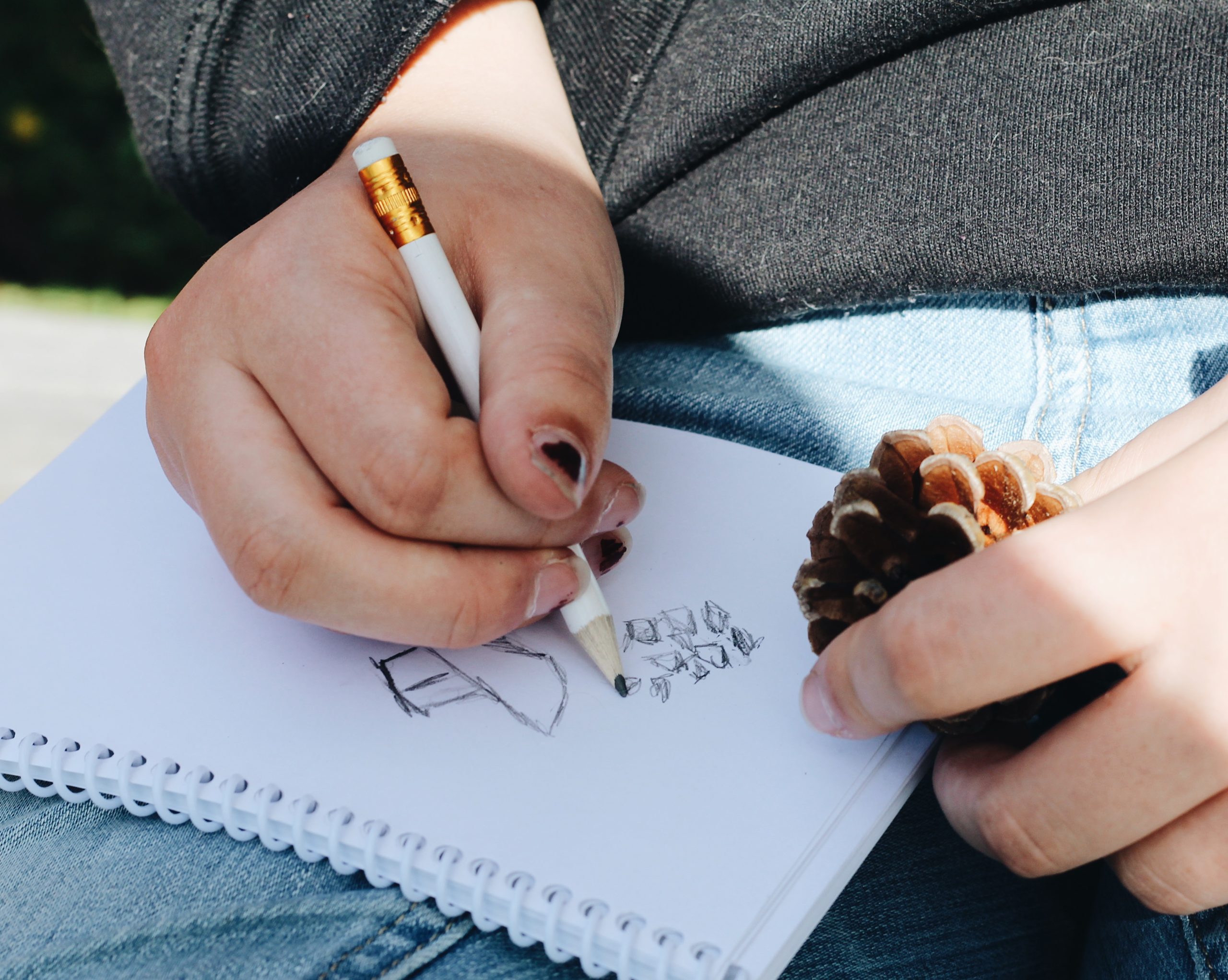 Sketching Nature with Kids – Your Connection to Wildlife