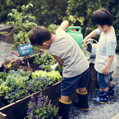 Group of kindergarten kids learning gardening outdoors