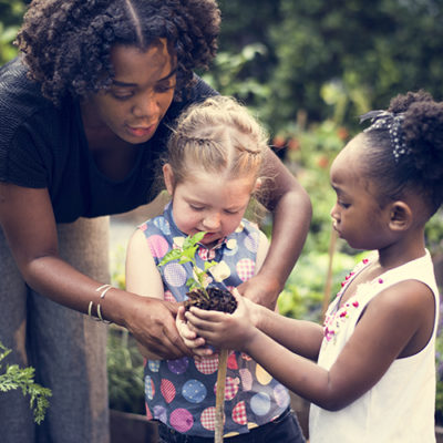 Teacher and kids school learning ecology gardening