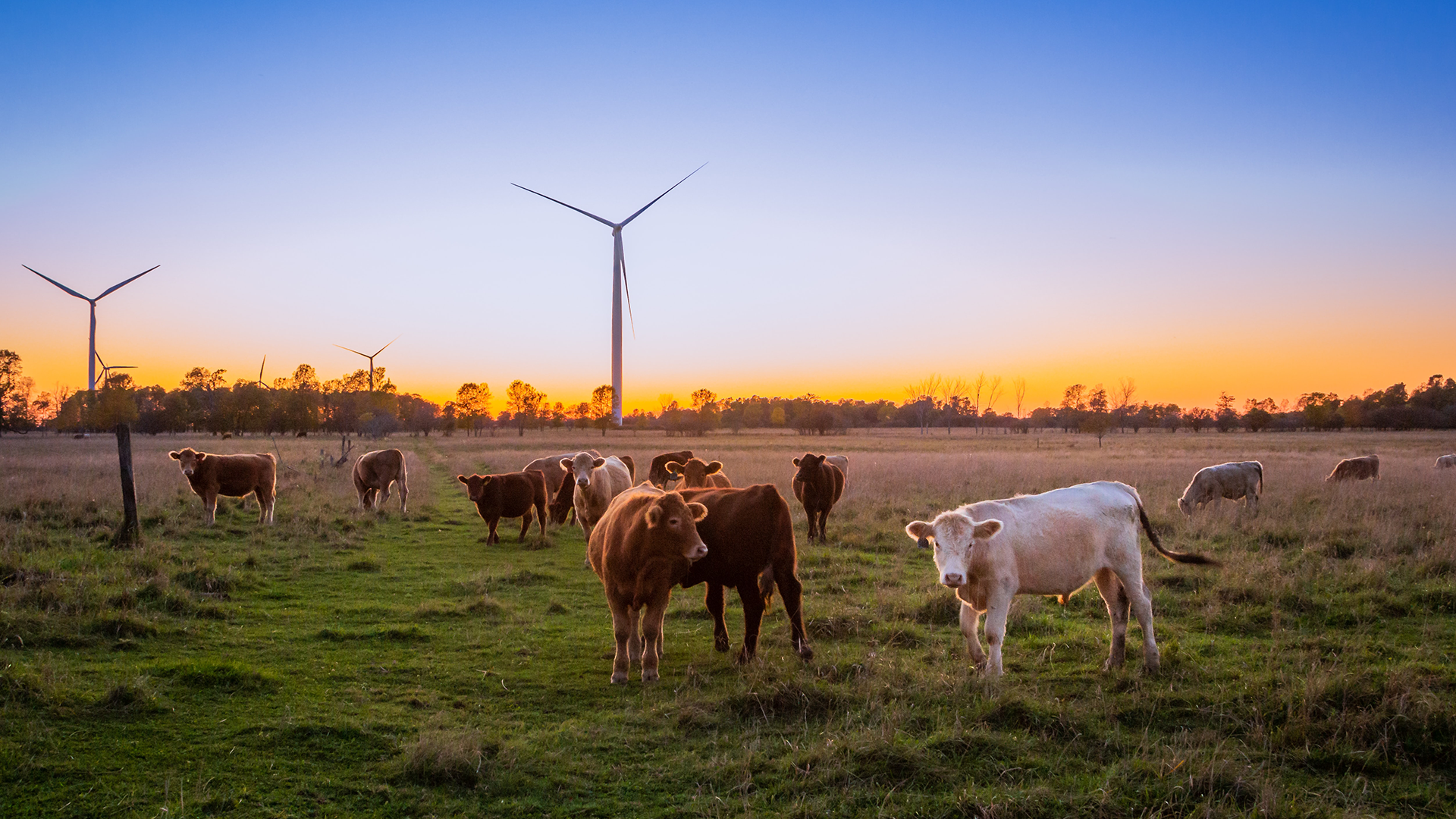 Greenhouse Gas Emissions - Grasslands