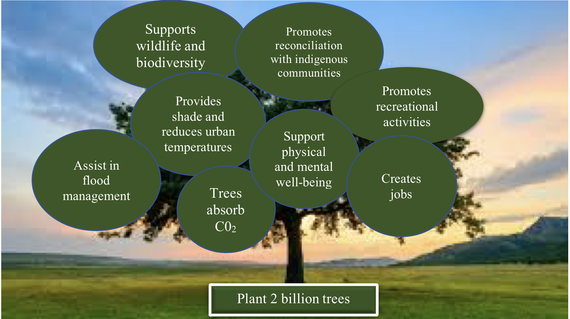 Two Billion Tree Program - Benefits of Tree Planting