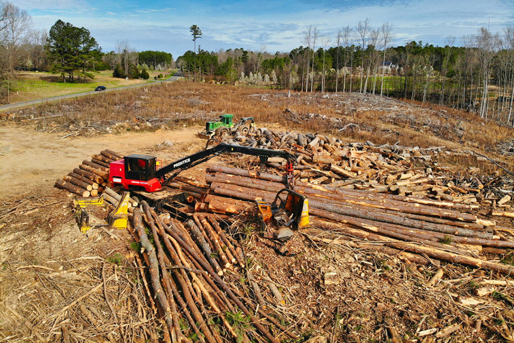 Clearcutting of forest