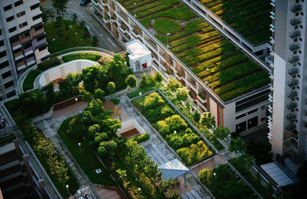Image of green roofs implemented in a residential area 