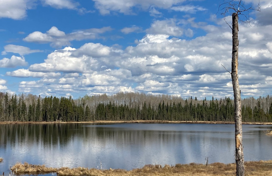 Why the Métis Community of ÎleàlaCross needs the Michif Language