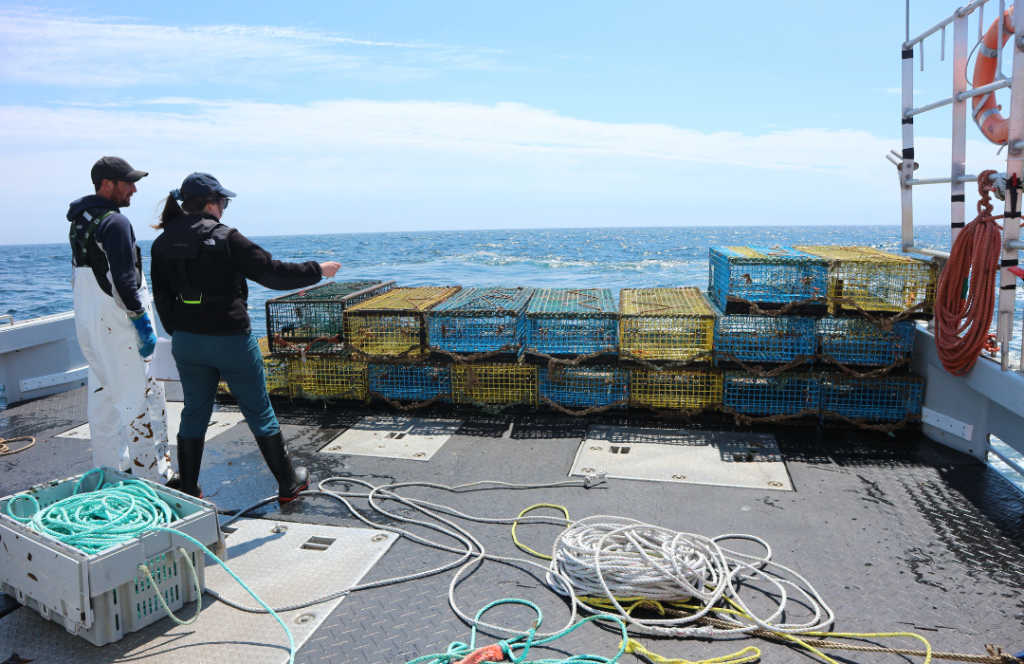 Ghost Crab Gear Retrieval Project in the Hecate Strait - Ecotrust Canada