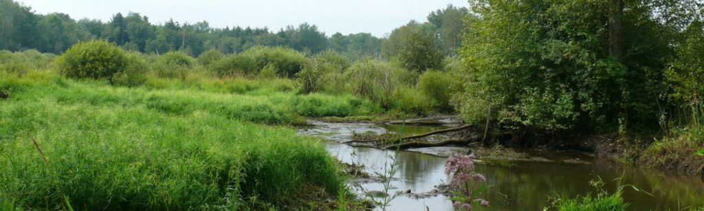 Nature Network Showcase: Grand River Environmental Network – Advocating for the Greenbelt at Nature on the Hill 2023