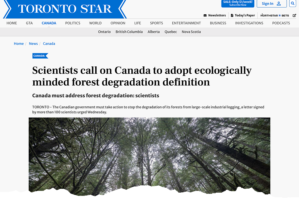 Setting the record straight on deforestation in Canada - John