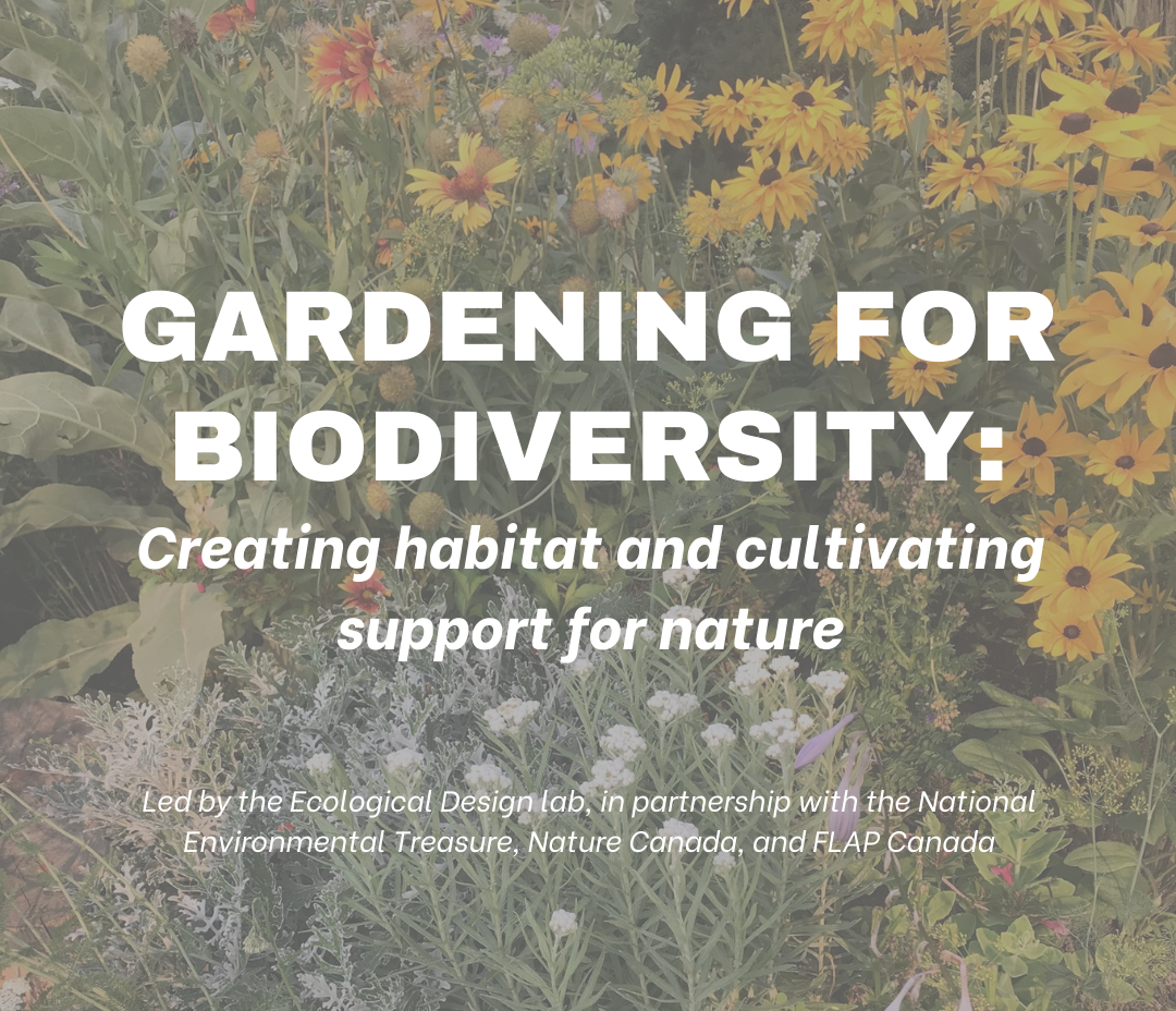 Gardening For Biodiversity